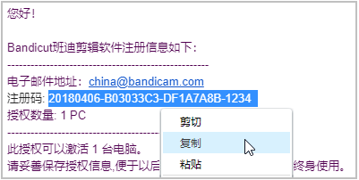 Bandicut软件的注册码邮箱