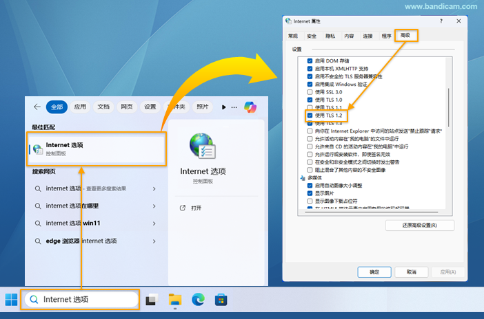 Internet explorer浏览器勾选“TLS”选项