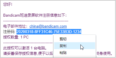 Bandicam软件的注册码邮箱