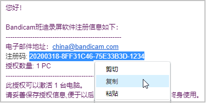 复制注册码 - Bandicam（班迪录屏）