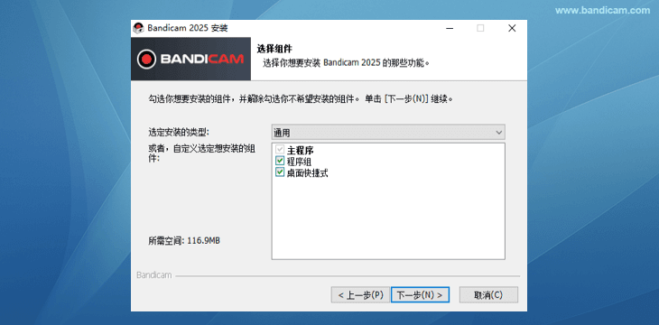 安装 Bandicam 选择组件 - Bandicam(班迪录屏) 安装 Bandicam 选择组件 - Bandicam(班迪录屏)