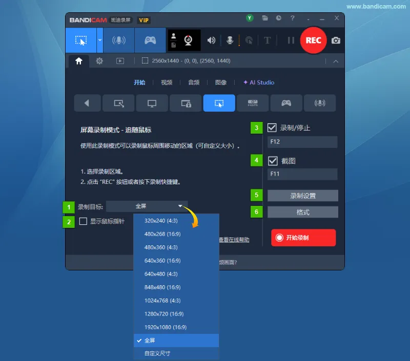 追随鼠标模式中的录制目标、显示鼠标指针、快捷键、录制设置和格式