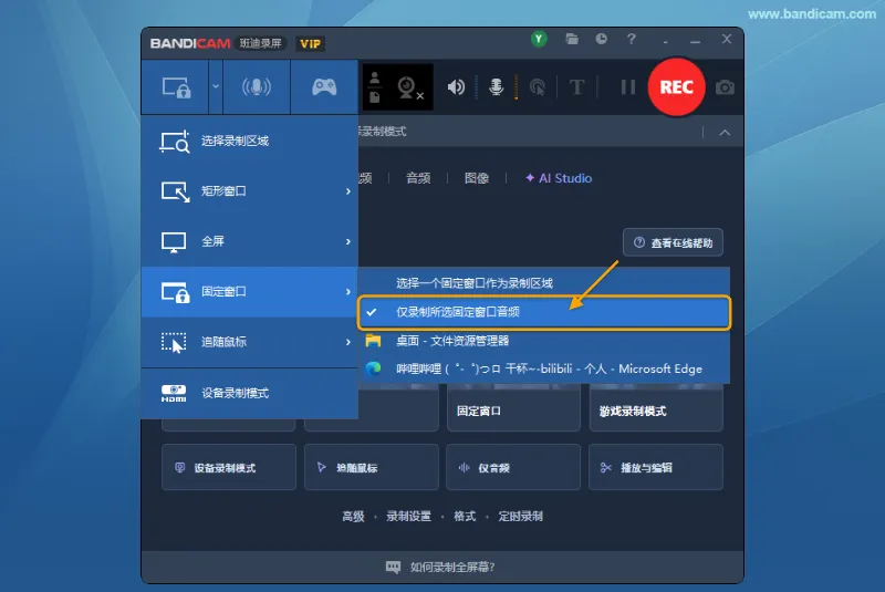 仅录制所选固定窗口音频