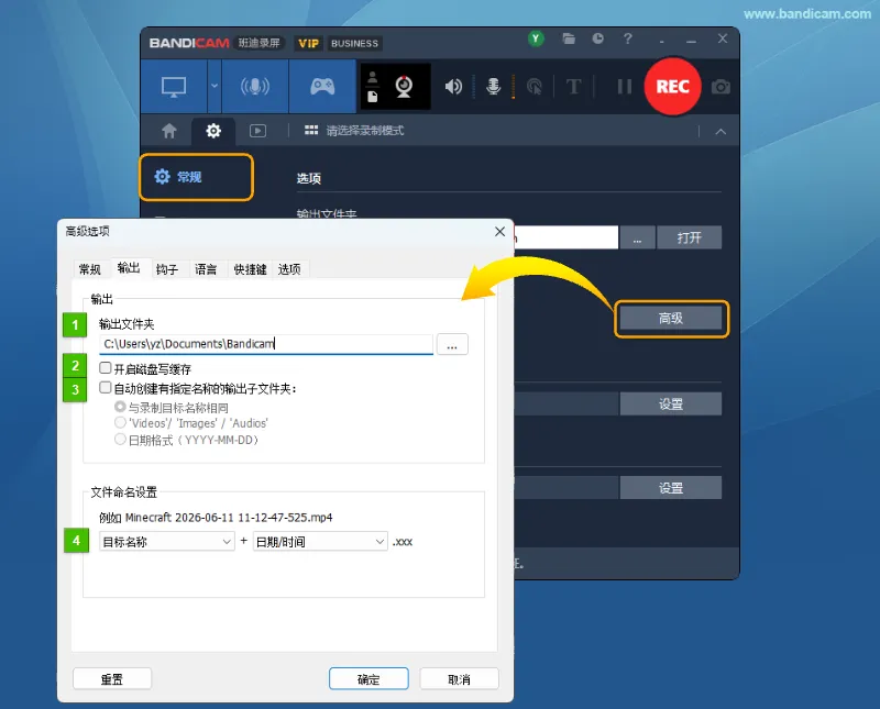 Bandicam 高级选项 - 输出 - Bandicam（班迪录屏）