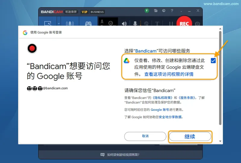 勾选 Bandicam 所需的 Google 云端硬盘文件访问权限并点击继续
