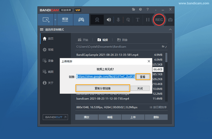 Bandicam 上传到 Google 云端硬盘 - Bandicam（班迪录屏）