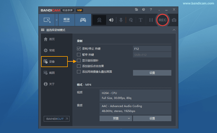 取消选中 “显示鼠标指针” 选项