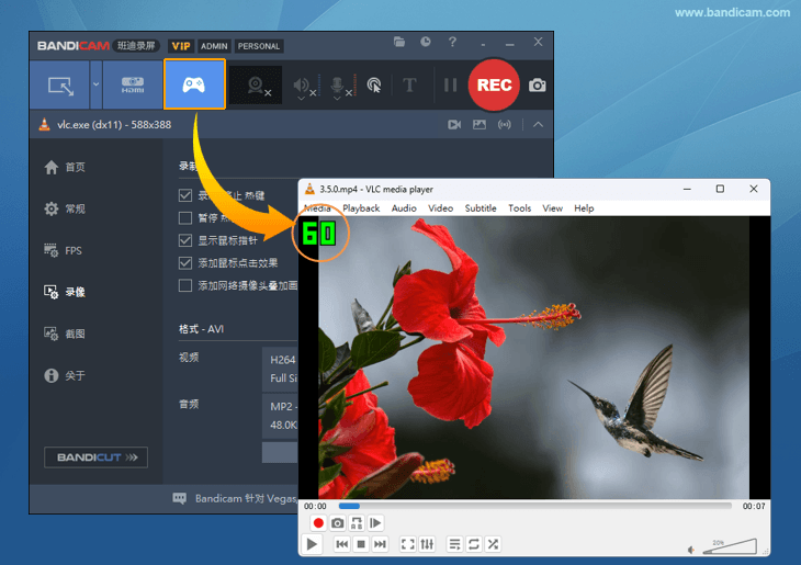 播放程序录制，视频播放程序
